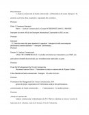 Analyse commerciale Intersport