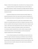 Exemple de dissertation: protection et dynamisme économique