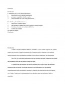 Audit De La Fonction Achat