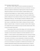 Quel est le propos de l’auteur dans le texte - L’Organisation et son environnement socioéthique ?