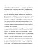 Quel est le propos de l’auteur dans le texte - L’Organisation et son environnement socioéthique ?