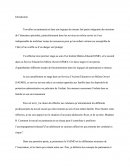 Comment le travail en partenariat et en réseau peut-il contribuer à améliorer l’accompagnement éducatif d’un adolescent en carences affectives qui présente des conduites à risque ?