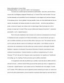 Burqa, Philosophie Et Conseil D'Etat