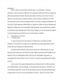 Rapport de stage Psychologie clinique