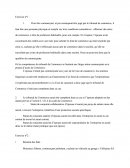 Devoir de Droit Commercial