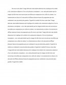 L'image télévisée