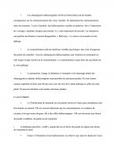 Les champignons hallucinogènes