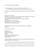 Rapport De Stage Bac Professionnel SEN