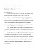 Précis De Didactique : Devenir Professeur De Langue / Marie-France Narcy-Combes