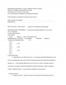 Exemple d'une Fiche Descriptive: Concession automobile Renault La Croix Verte