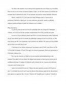 Analyse De Pratique: le Prélèvement Sanguin