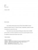 Rapport De Projet De Fin De Cours : Entreprise TAM