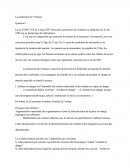 Protection De L'enfance