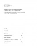 Rapport De Pse