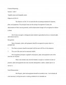 Financial reporting - synthèse en anglais