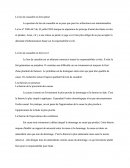 Le lien de causalité en droit pénal