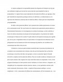 La Responsabilite Penal Des Dirigeant Des Entreprises