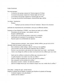 Guide D Entretien Etude Qualitative Sur Les Salons De Coiffure Recherche De Documents Dissertation
