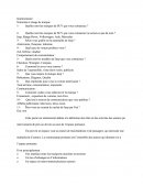 Questionnaire Secteur Automobile