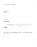 Rapport De Stage Nicolas
