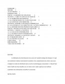 Rapport De Stage Jeux Dentreprise