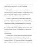 Principe De Constitutionalité