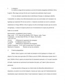 Contre-rendu de stage en import/export