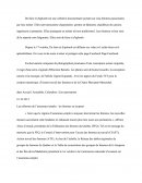 Travail Des Femmes