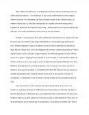 Le Recours Individuel Est-il nécessaire Pour La Protection Efficace Des Droits De L'homme ?