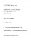 Rapport Diagnostique