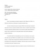 Le modèle de l’article VIPJean’S