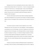 Montesquieu Sur L'esclavagisme