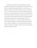 Rapport Brundtland et les deux paradigmes