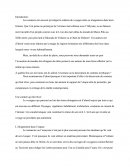 Dissertation Français: À quelles fins ces écrivains ont-ils utilisé l’exotisme ou la description de contrées mythiques ?