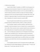 L'influence Des Pays émergents