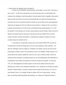 L'Influence Du Design Sur Les Objets
