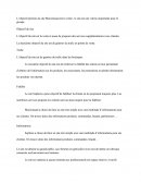 Rapport De Stages