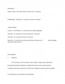 Cv (Curriculum Vitae) Anonyme