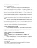 Démarche De Recherche