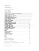 Théories En Management