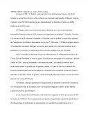 Étude de cas: l'entreprise Geyer Frères-Lorina
