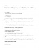 Rapport De Stage