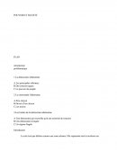 Pouvoir et societe