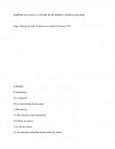 Rapport De Stage Notaire