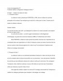 Le Diagnostique Stratégique Interne
