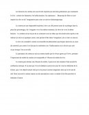 Le rêve Et Le Cinéma