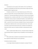 Commentaire D'arrêt Cour De Cassation, 2ème Chambre Civile, 19 Juin 2008: la responsabilité du fait d'autrui d'une association éducative chargée d'une mission d'assistance éducative à l'égard d'un mineur