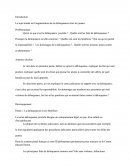 Dissertation : l'augmentation de la délinquances chez les jeunes