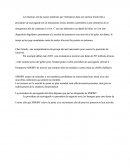 STRATEGIE