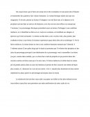 Le héros de roman